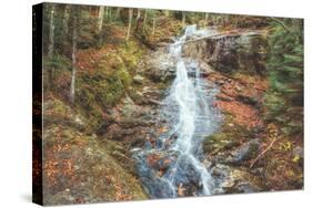 Beaver Creek Cascades in Autumn, New Hampshire-Vincent James-Stretched Canvas