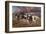 Beaver Creek Run-Steve Hunziker-Framed Art Print