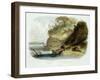 Beaver Hut on the Missouri, Plate 17, Travels in the Interior of North America-Karl Bodmer-Framed Giclee Print