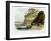 Beaver Hut on the Missouri, Plate 17, Travels in the Interior of North America-Karl Bodmer-Framed Giclee Print