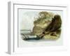 Beaver Hut on the Missouri, Plate 17, Travels in the Interior of North America-Karl Bodmer-Framed Giclee Print