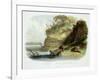 Beaver Hut on the Missouri, Plate 17, Travels in the Interior of North America-Karl Bodmer-Framed Giclee Print