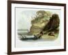 Beaver Hut on the Missouri, Plate 17, Travels in the Interior of North America-Karl Bodmer-Framed Giclee Print