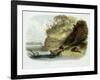 Beaver Hut on the Missouri, Plate 17, Travels in the Interior of North America-Karl Bodmer-Framed Giclee Print