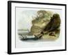 Beaver Hut on the Missouri, Plate 17, Travels in the Interior of North America-Karl Bodmer-Framed Giclee Print