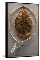 Beaver Pelt Stretched on a Sapling Frame and Laced with Rawhide-null-Framed Stretched Canvas