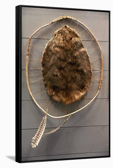 Beaver Pelt Stretched on a Sapling Frame and Laced with Rawhide-null-Framed Stretched Canvas