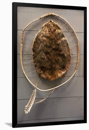 Beaver Pelt Stretched on a Sapling Frame and Laced with Rawhide-null-Framed Giclee Print