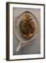 Beaver Pelt Stretched on a Sapling Frame and Laced with Rawhide-null-Framed Giclee Print