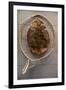 Beaver Pelt Stretched on a Sapling Frame and Laced with Rawhide-null-Framed Giclee Print