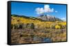 Beaver pond and Fall foliage and Aspen trees at their peak, near Crested Butte, Colorado-Howie Garber-Framed Stretched Canvas