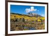 Beaver pond and Fall foliage and Aspen trees at their peak, near Crested Butte, Colorado-Howie Garber-Framed Photographic Print