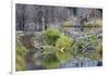 Beaver Pond, Dam and House-Ken Archer-Framed Premium Photographic Print