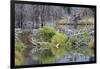 Beaver Pond, Dam and House-Ken Archer-Framed Premium Photographic Print