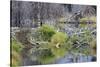 Beaver Pond, Dam and House-Ken Archer-Stretched Canvas