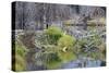 Beaver Pond, Dam and House-Ken Archer-Stretched Canvas