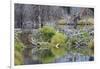 Beaver Pond, Dam and House-Ken Archer-Framed Photographic Print