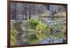 Beaver Pond, Dam and House-Ken Archer-Framed Photographic Print