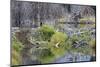 Beaver Pond, Dam and House-Ken Archer-Mounted Photographic Print