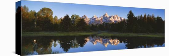 Beaver Pond Grand Teton National Park, WY-null-Stretched Canvas