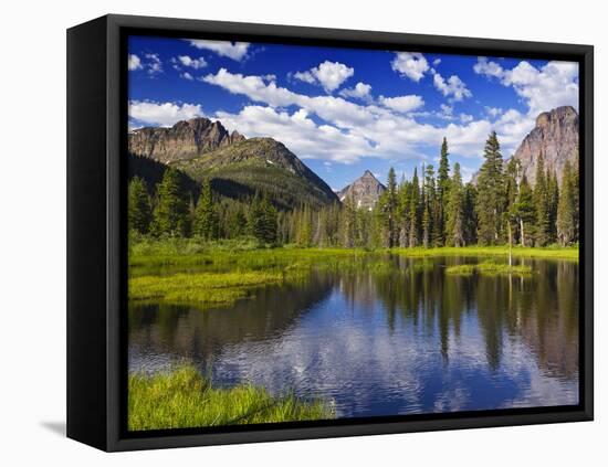 Beaver Pond in Two Medicine Valley, Glacier National Park, Montana, Usa-Chuck Haney-Framed Stretched Canvas