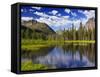 Beaver Pond in Two Medicine Valley, Glacier National Park, Montana, Usa-Chuck Haney-Framed Stretched Canvas