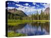 Beaver Pond in Two Medicine Valley, Glacier National Park, Montana, Usa-Chuck Haney-Stretched Canvas