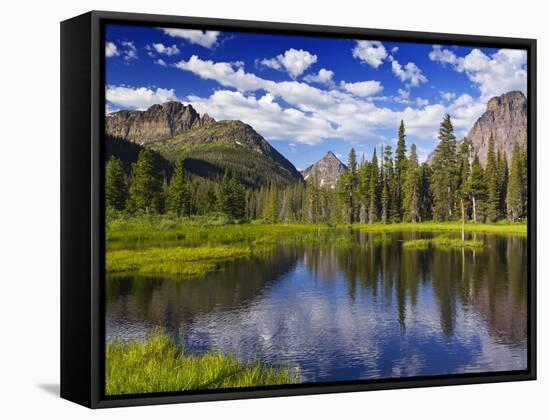 Beaver Pond in Two Medicine Valley, Glacier National Park, Montana, Usa-Chuck Haney-Framed Stretched Canvas