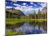 Beaver Pond in Two Medicine Valley, Glacier National Park, Montana, Usa-Chuck Haney-Mounted Photographic Print