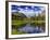 Beaver Pond in Two Medicine Valley, Glacier National Park, Montana, Usa-Chuck Haney-Framed Photographic Print