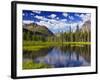 Beaver Pond in Two Medicine Valley, Glacier National Park, Montana, Usa-Chuck Haney-Framed Photographic Print