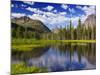 Beaver Pond in Two Medicine Valley, Glacier National Park, Montana, Usa-Chuck Haney-Mounted Photographic Print