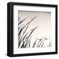 Beaver Pond, Study #1-Andrew Ren-Framed Art Print