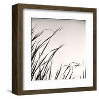 Beaver Pond, Study #1-Andrew Ren-Framed Art Print