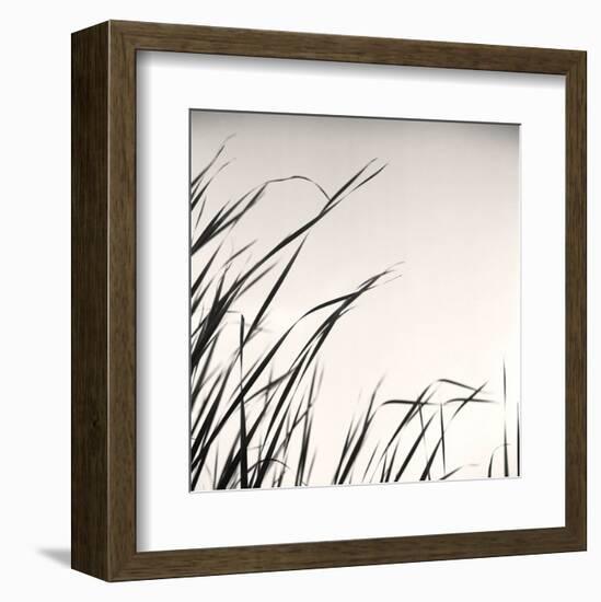 Beaver Pond, Study #1-Andrew Ren-Framed Art Print