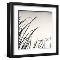 Beaver Pond, Study, no. 1-Andrew Ren-Framed Giclee Print