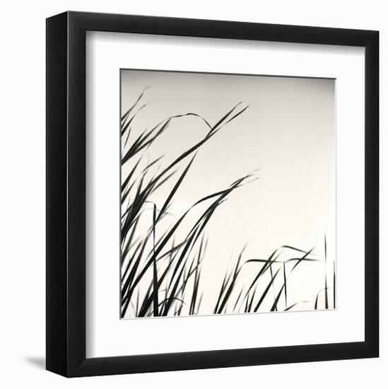 Beaver Pond, Study, no. 1-Andrew Ren-Framed Giclee Print