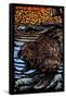 Beaver - Scratchboard-Lantern Press-Framed Stretched Canvas