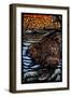 Beaver - Scratchboard-Lantern Press-Framed Art Print