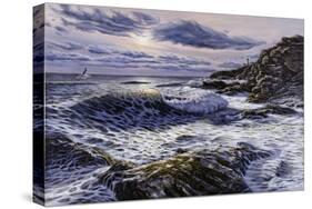 Beaver Tail Park Light-Bruce Dumas-Stretched Canvas