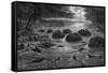 Beaver Village-null-Framed Stretched Canvas