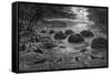 Beaver Village-null-Framed Stretched Canvas