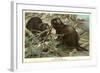 Beavers Building Dam-null-Framed Art Print