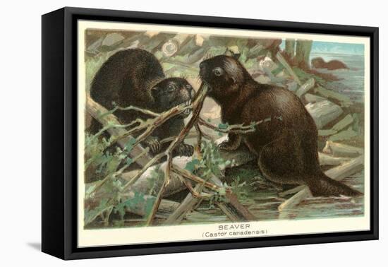 Beavers Building Dam-null-Framed Stretched Canvas