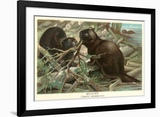 Beavers Building Dam-null-Framed Art Print