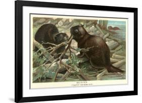 Beavers Building Dam-null-Framed Art Print