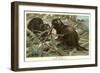 Beavers Building Dam-null-Framed Art Print