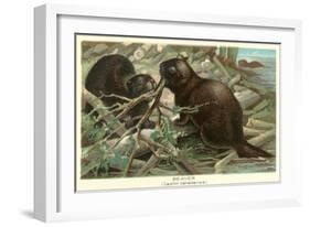 Beavers Building Dam-null-Framed Art Print