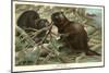 Beavers Building Dam-null-Mounted Art Print