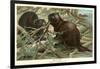 Beavers Building Dam-null-Framed Art Print